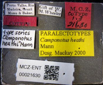 Media type: image;   Entomology 21630 Aspect: labels